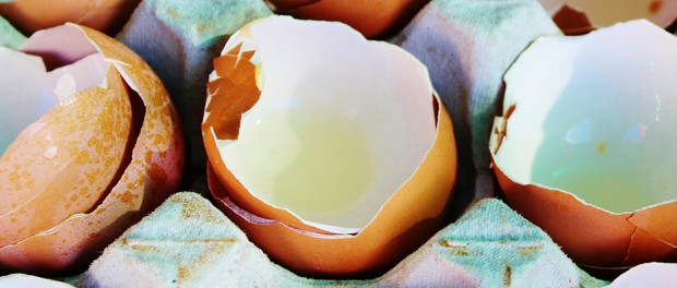 Eierschalen-HP