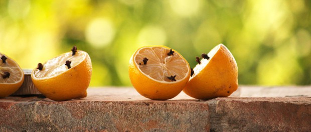 lemons-hp